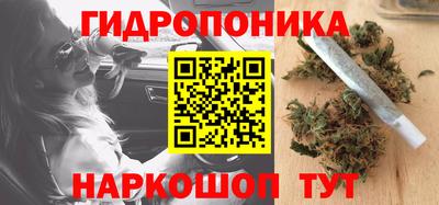 стаф Новозыбков